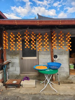 사과18677님의 자유주제 · 자유게시판 작성글 사진