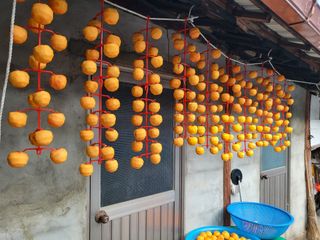 사과18677님의 자유주제 · 자유게시판 작성글 사진