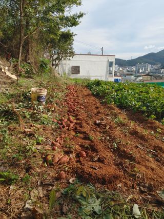 추연호님의 자유주제 · 사진전 작성글 사진
