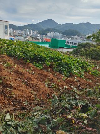 추연호님의 자유주제 · 사진전 작성글 사진