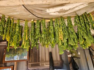 조정숙(1955)님의 자유주제 · 자유게시판 작성글 사진