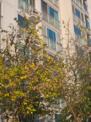 조정숙(1955)님의 자유주제 · 자유게시판 작성글 사진