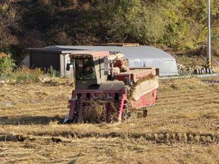 양배추20452님의 자유주제 · 자유게시판 작성글 사진