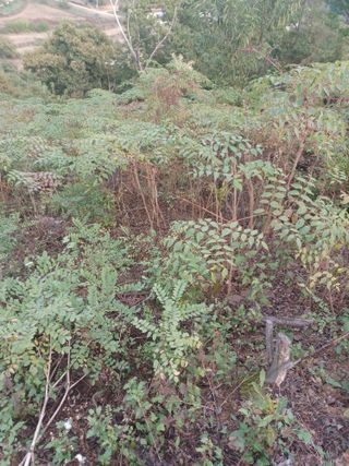 무료지식나눔 팜닥터님의 👀최근 산 것은? · 참여글 작성글 사진