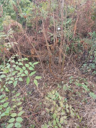 무료지식나눔 팜닥터님의 👀최근 산 것은? · 참여글 작성글 사진