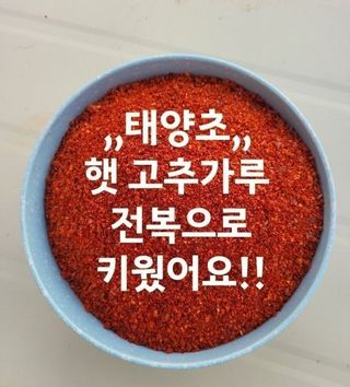 고추농사 정 미라님의 자유주제 · 자유게시판 작성글 사진