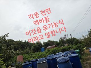 고추농사 정 미라님의 자유주제 · 자유게시판 작성글 사진