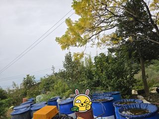 고추농사 정 미라님의 자유주제 · 자유게시판 작성글 사진