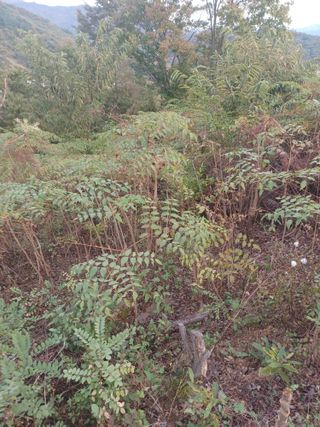 무료지식나눔 팜닥터님의 자유주제 · 자유게시판 작성글 사진