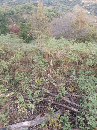 무료지식나눔 팜닥터님의 자유주제 · 자유게시판 작성글 사진