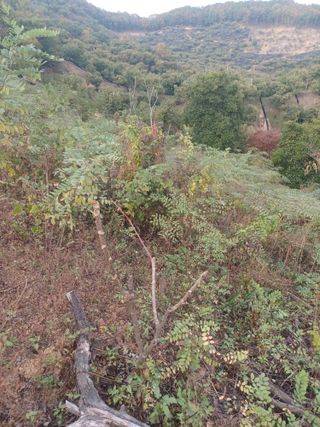 무료지식나눔 팜닥터님의 자유주제 · 자유게시판 작성글 사진