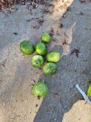 권오정님의 자유주제 · 자유게시판 작성글 사진