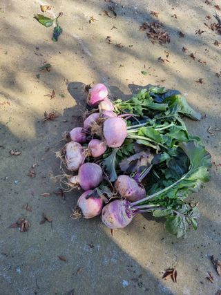 권오정님의 자유주제 · 자유게시판 작성글 사진