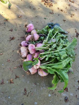 권오정님의 자유주제 · 자유게시판 작성글 사진