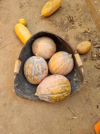 권오정님의 자유주제 · 자유게시판 작성글 사진