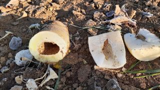 초보텃밭님의 자유주제 · 자유게시판 작성글 사진