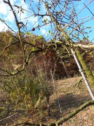 배추19087님의 👀최근 산 것은? · 참여글 작성글 사진