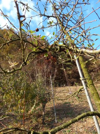 배추19087님의 👀최근 산 것은? · 참여글 작성글 사진