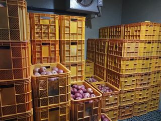 알 수 없음님의 자유주제 · 자유게시판 작성글 사진