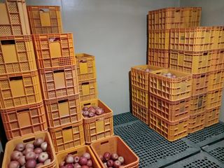 알 수 없음님의 자유주제 · 자유게시판 작성글 사진