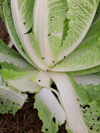 정백영님의 자유주제 · 자유게시판 작성글 사진