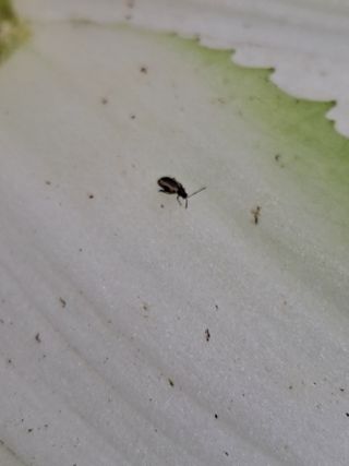 정백영님의 자유주제 · 자유게시판 작성글 사진