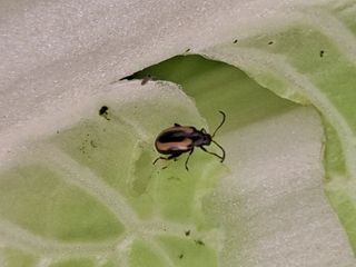 정백영님의 자유주제 · 자유게시판 작성글 사진