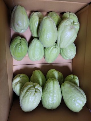 원빈님의 자유주제 · 자유게시판 작성글 사진