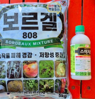 달맛햇복숭아농원님의 작성글 사진