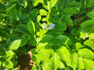 최승일님의 작성글 사진