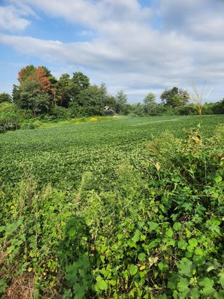 최승일님의 작성글 사진
