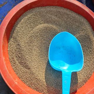 백용기님의 자유주제 · 자유게시판 작성글 사진