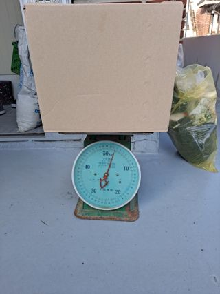 정백영님의 자유주제 · 자유게시판 작성글 사진