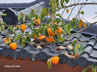 윤권진님의 작성글 사진