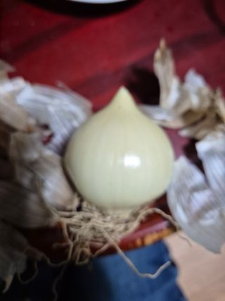 기중권님의 자유주제 · 자유게시판 작성글 사진