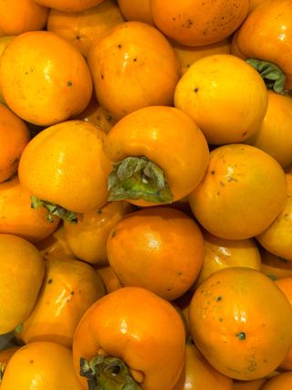 농부손녀님의 작성글 사진