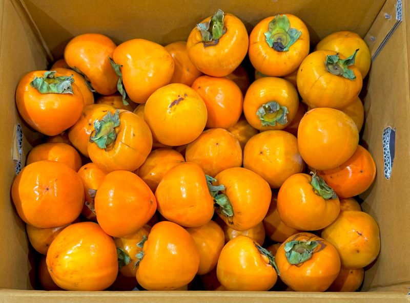 농부손녀님의 장터 판매 상품 [고당도 월하시 밀수감 10kg (곶갖, 감말랭이용) ] 첨부 사진