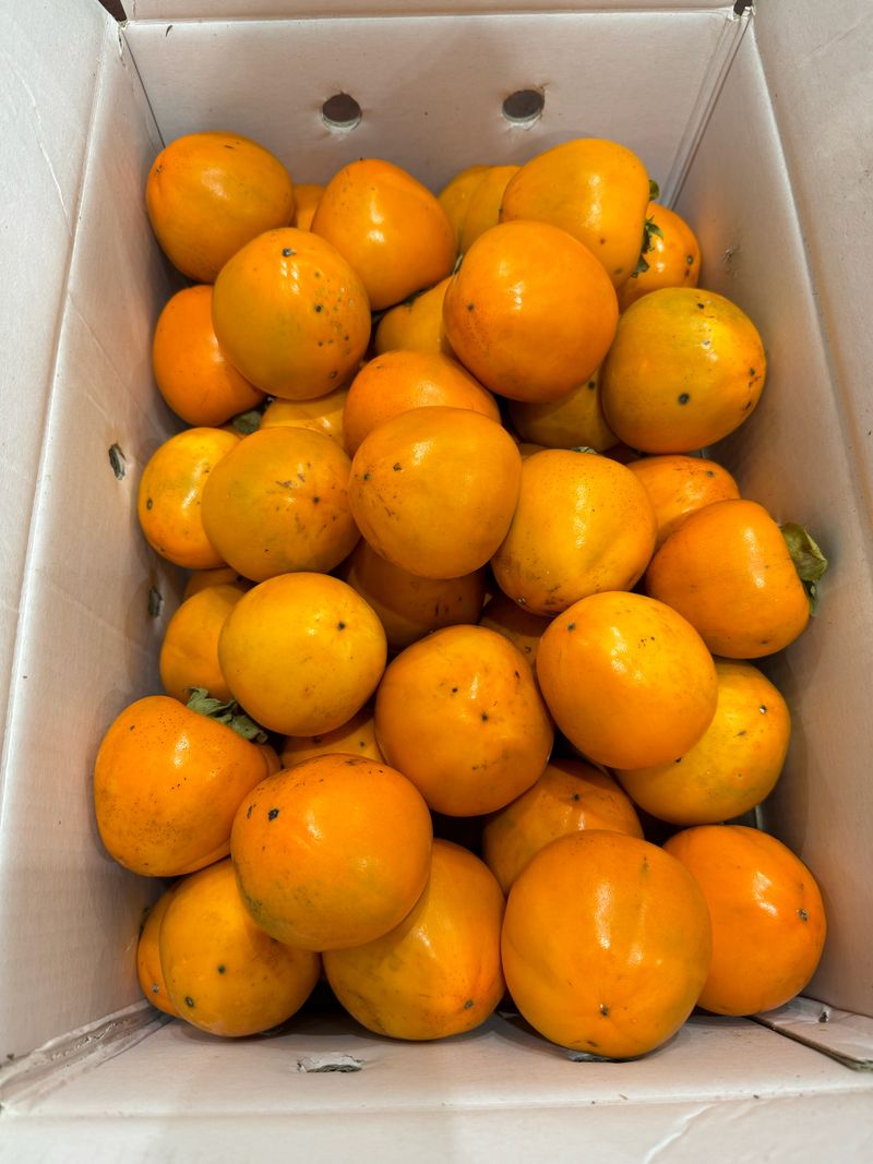 농부손녀님의 장터 판매 상품 [고당도 월하시 밀수감 10kg (곶갖, 감말랭이용) ] 첨부 사진