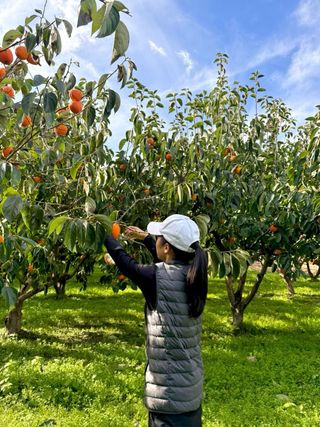 농부손녀님의 자유주제 · 자유게시판 작성글 사진