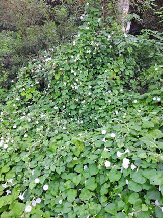 정백영님의 자유주제 · 자유게시판 작성글 사진
