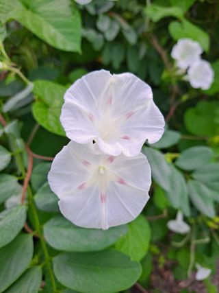 정백영님의 자유주제 · 자유게시판 작성글 사진