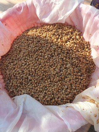 옥천서화농님의 자유주제 · 자유게시판 작성글 사진