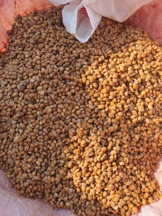 옥천서화농님의 자유주제 · 자유게시판 작성글 사진