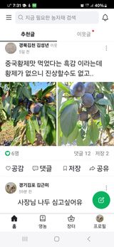팜모닝 👀최근 산 것은?·참여글 게시글 이미지
