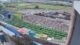 황규복(달구지)님의 자유주제 · 자유게시판 작성글 사진