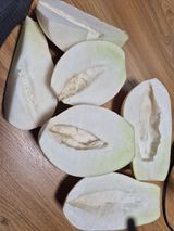 팜모닝 기타작물·병해충상담 게시글 이미지