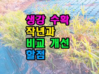 꿈꾸는텃밭님의 기타작물 · 영농일지 작성글 사진