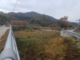 오영도님의 자유주제 · 자유게시판 작성글 사진