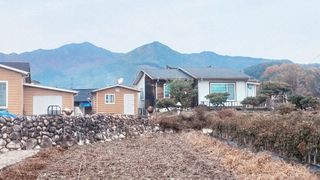 오영도님의 자유주제 · 자유게시판 작성글 사진