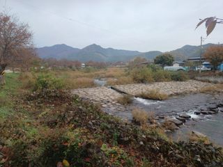 오영도님의 자유주제 · 자유게시판 작성글 사진